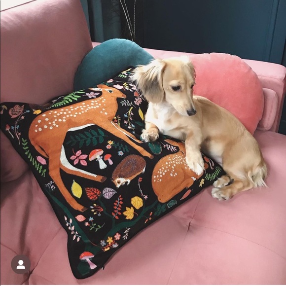 Karen Mabon “Moths” cushion pillow (20" x 20") - Picture 7 of 11